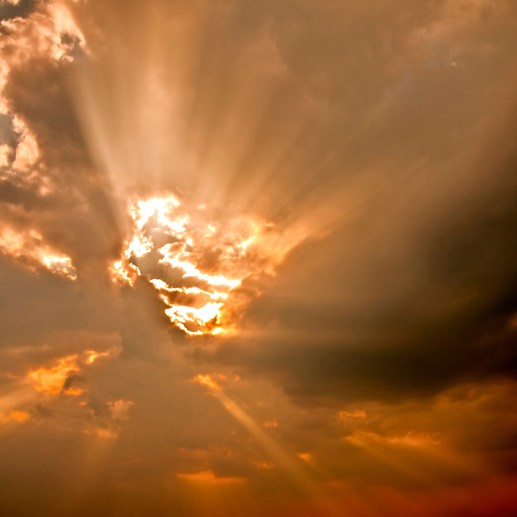 Traject: Van klacht naar kracht. Cupping en coaching Noordwijk